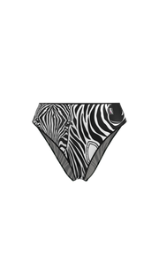 #color_zebra
