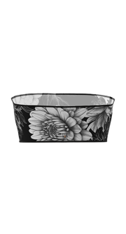 #night-flower
