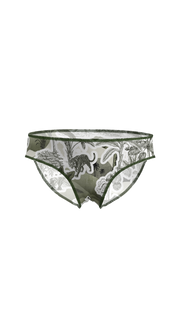 #color_olive-safari