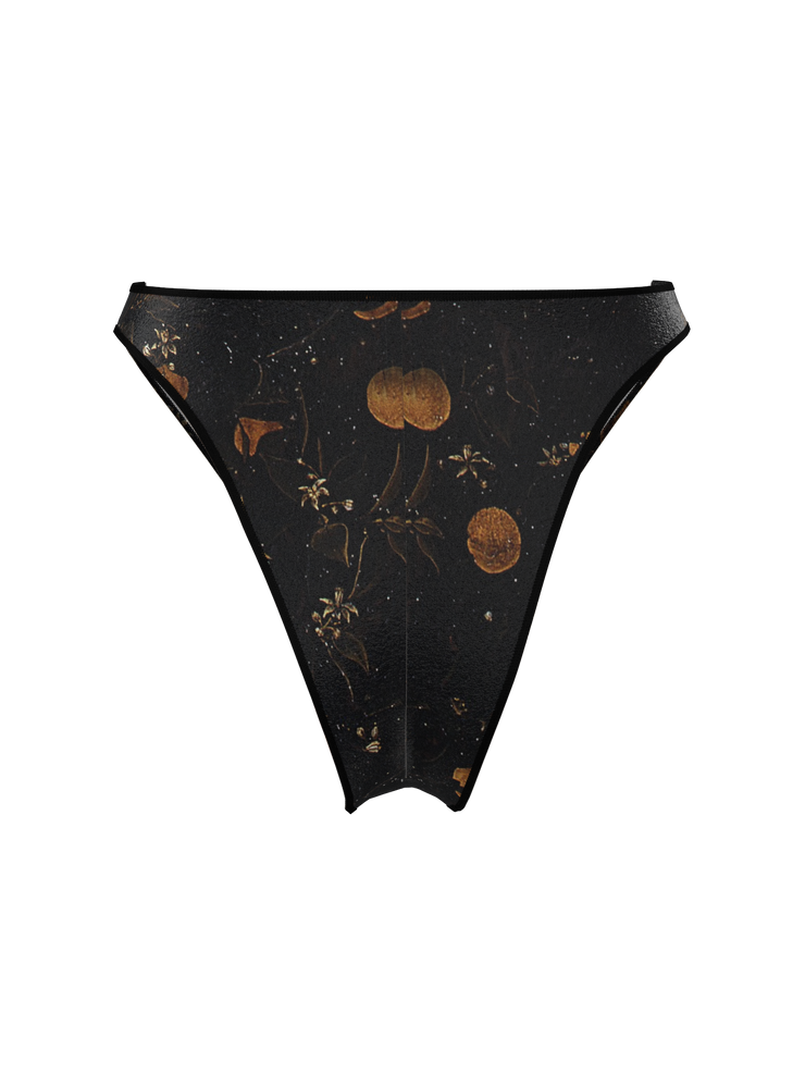 <small>Bikini bottom</small><br> Casablanca Renaissance