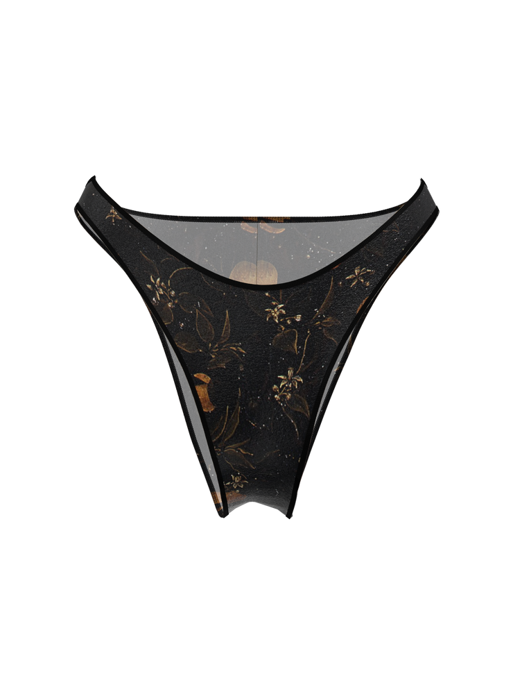 <small>Bikini bottom</small><br> Casablanca Renaissance
