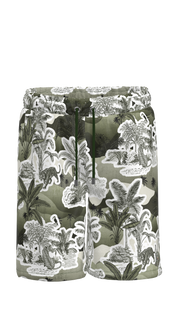 #color_olive-safari