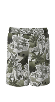 #color_olive-safari