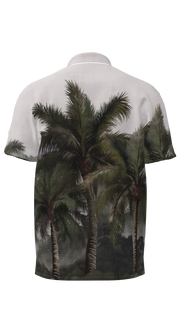 #color_coconut-veil