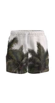 #color_coconut-veil