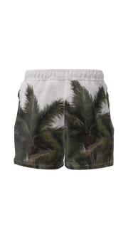 #color_coconut-veil