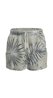 #color_chalked-fronds