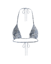#color_arctic-paisley