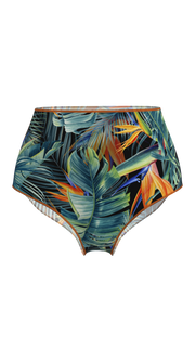 #color_bird-of-paradise