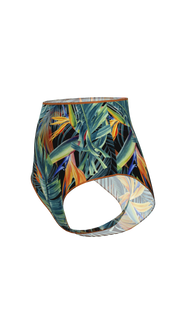 #color_bird-of-paradise