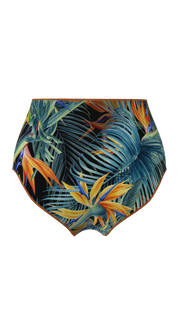 #color_bird-of-paradise